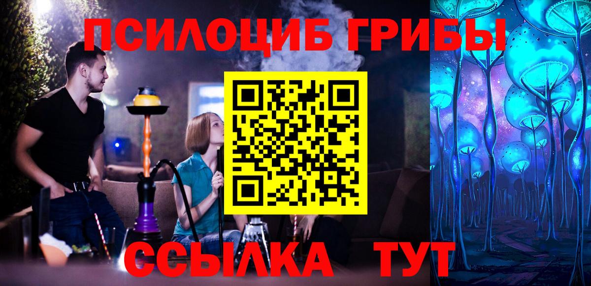 Галлюциногенные грибы Psilocybe  Вход с VPN  Псилоцибиновые грибы Magic Shrooms  Альметьевск 