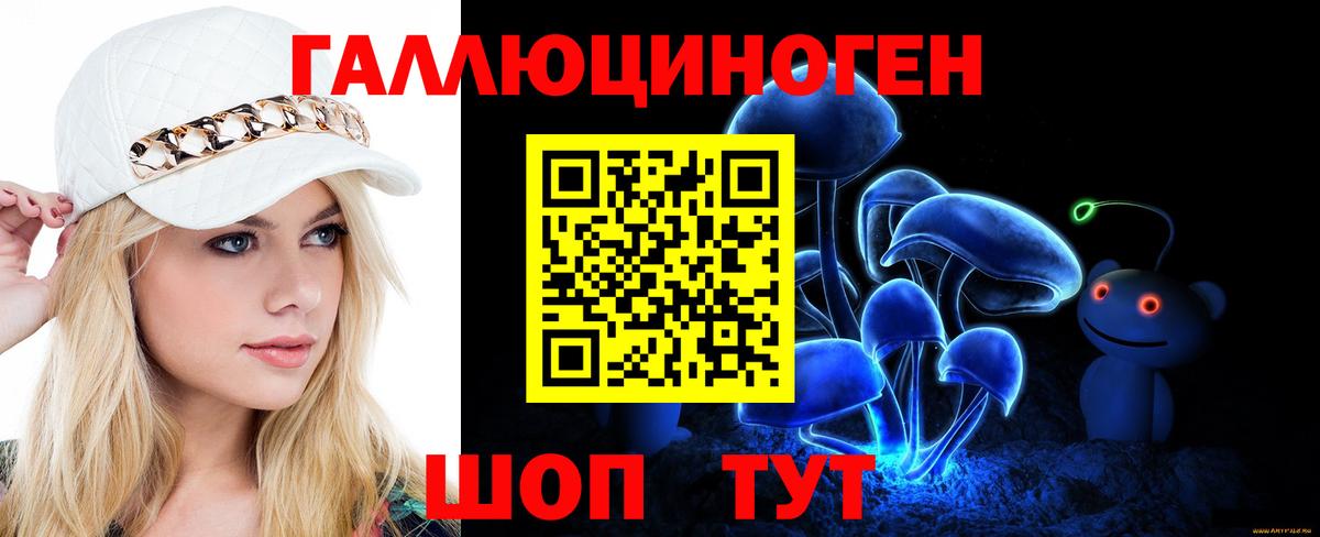 Галлюциногенные грибы Psilocybine cubensis Альметьевск