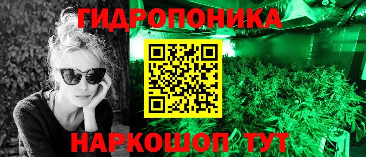 Конопля сатива Альметьевск